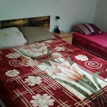 Sosnowy Dworek Appartamento Józefów Esterno foto