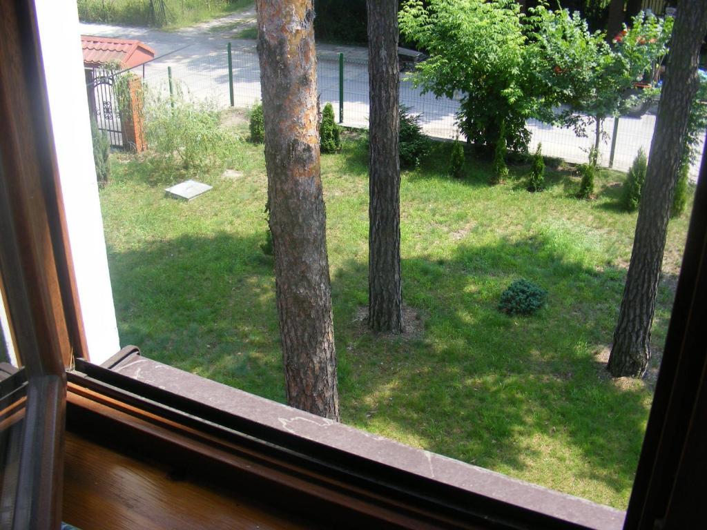 Sosnowy Dworek Appartamento Józefów Esterno foto
